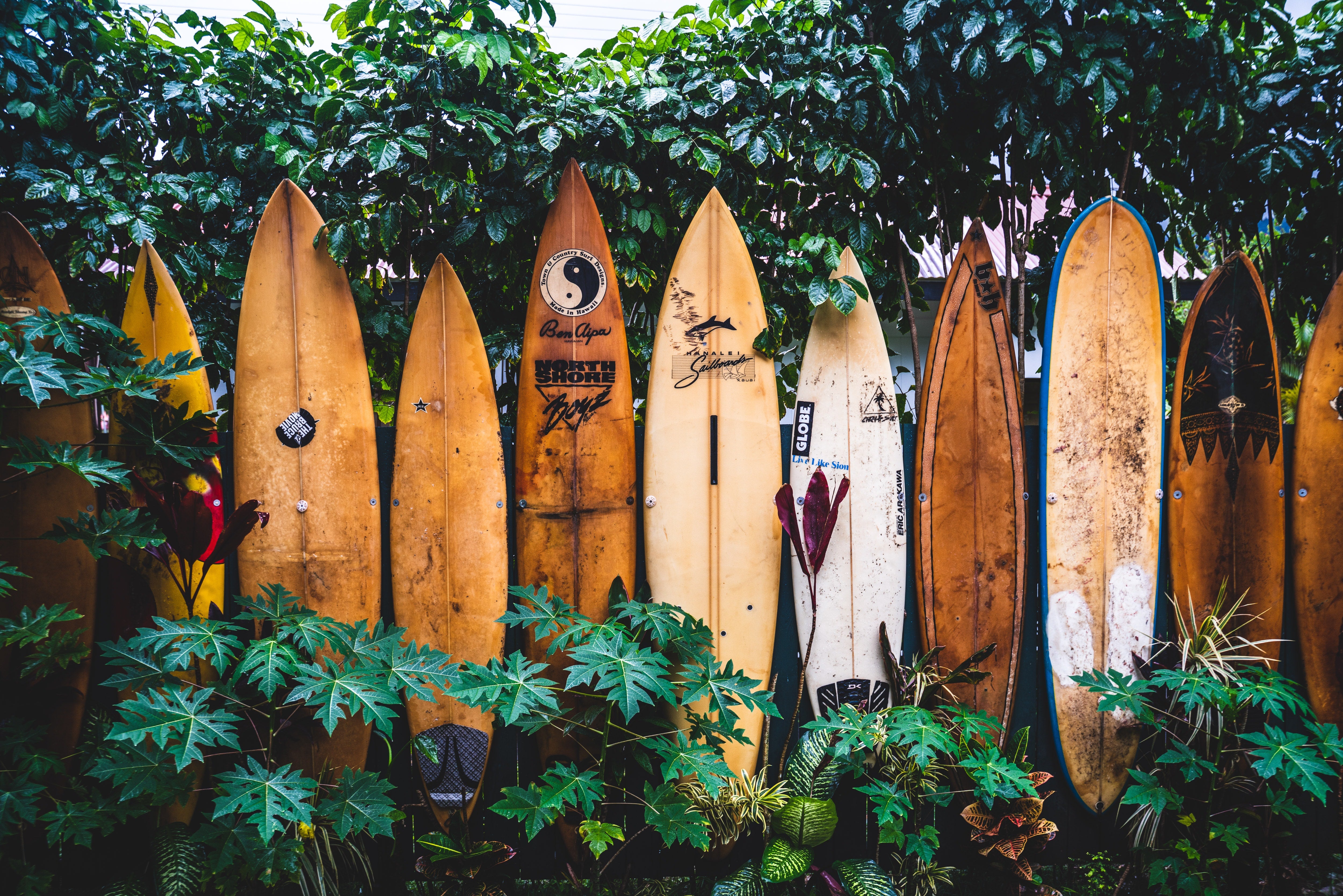Surfboards – SimplySurfingCo